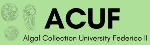 ACUF UNINA