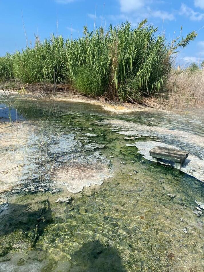 Ricercatori sul campo a Petrinus